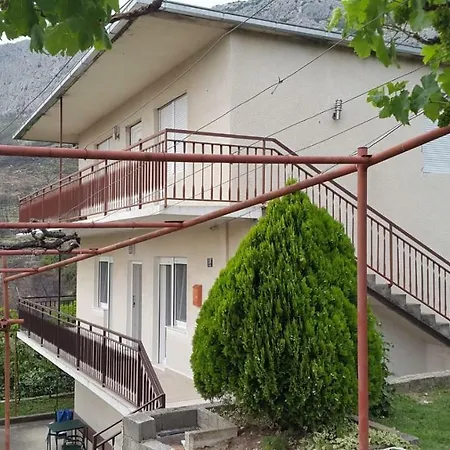 Privor Roguljic * Lolici
